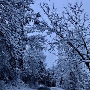 Meet your Posher, Breah